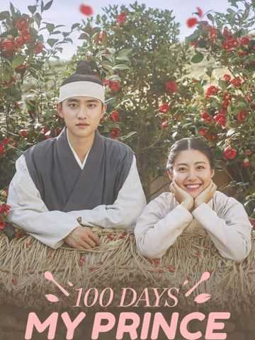 100 Days My Prince