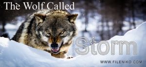 A Wolf Called Storm