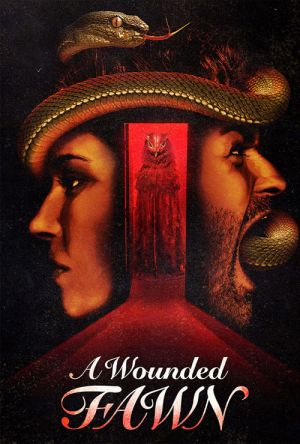 A Wounded Fawn