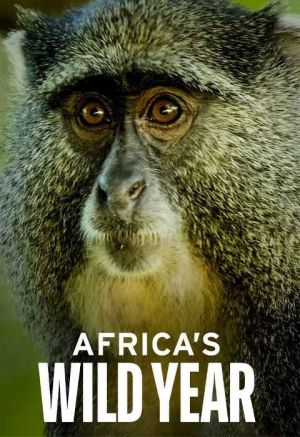 Africa's Wild Year