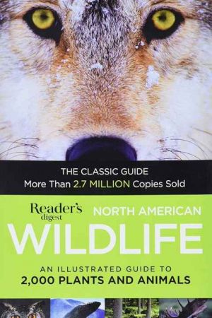 American Wildlife