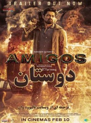 Amigos