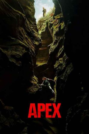Apex