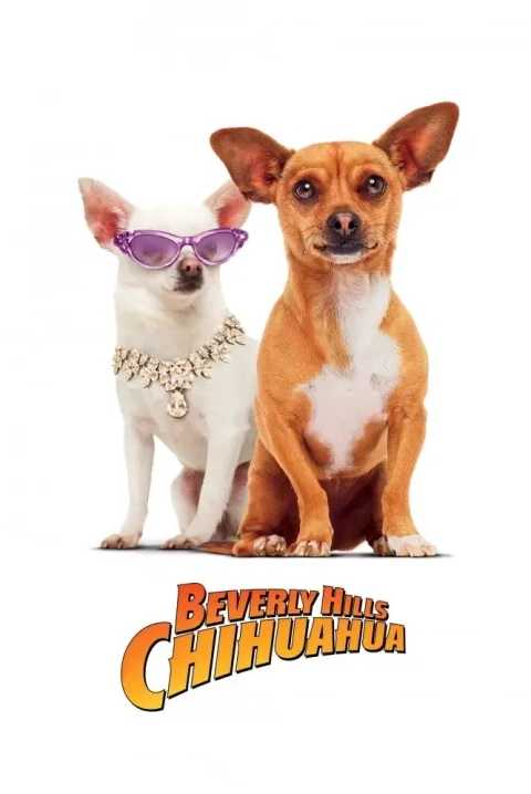 Beverly Hills Chihuahua