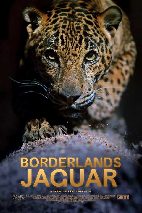 Borderlands Jaguar