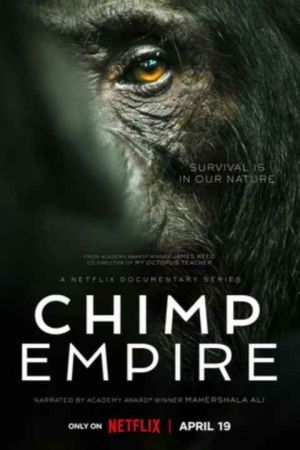Chimp Empire