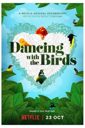 Dancing with the Birds
