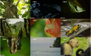 Destination Wild: Colombia