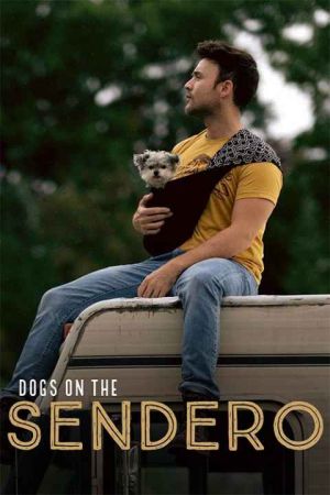 Dogs on the Sendero