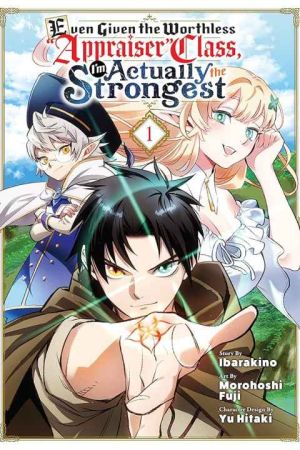 Even Given the Worthless "Appraiser" Class, I'm Actually the Strongest
