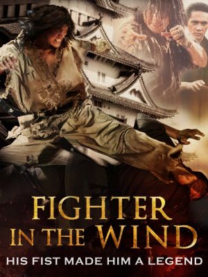 Fighter in the Wind