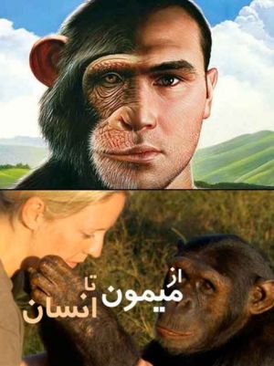 From monkey to human