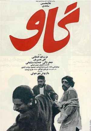 گاو