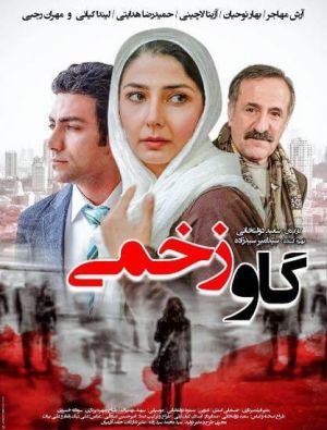 گاو زخمی