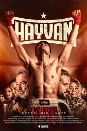 Hayvan