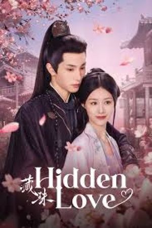 Hidden Love