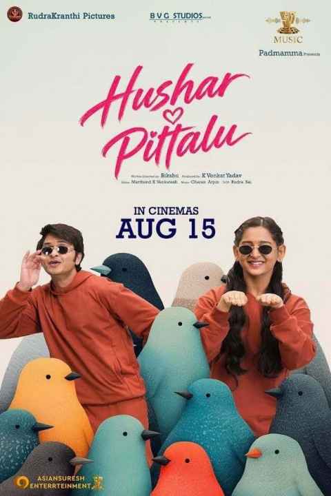 Hushar Pittalu