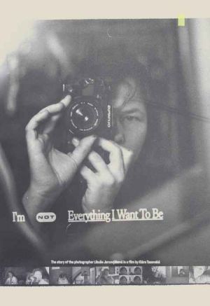 Im Not Everything I Want to Be