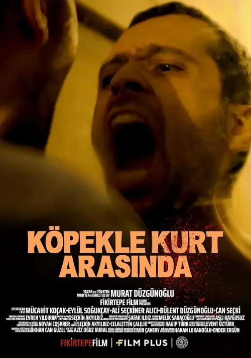 Kopekle Kurt Arasinda