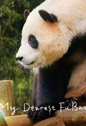 My Dearest Fu Bao