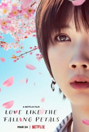 Love Like the Falling Petals