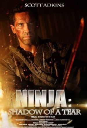 Ninja: Shadow of a Tear