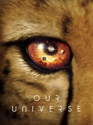 Our Universe