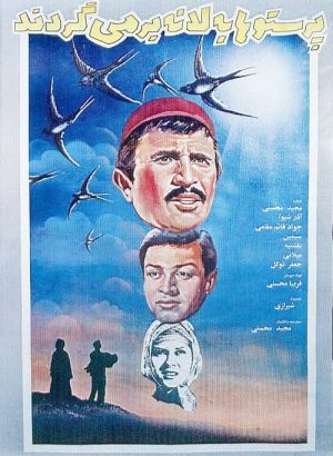 پرستوها به لانه باز میگردند