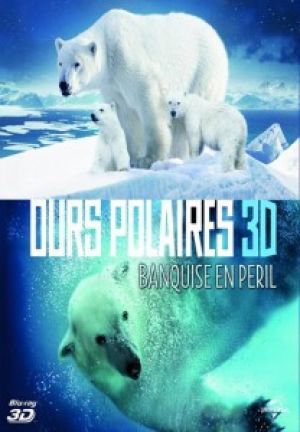 Polar Bears: Ice Bear