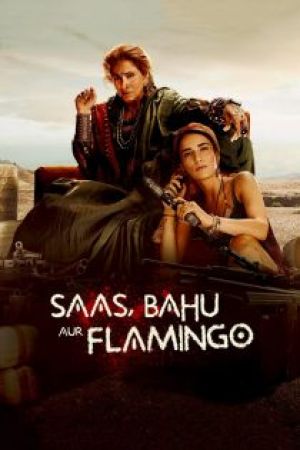 Saas Bahu Aur Flamingo