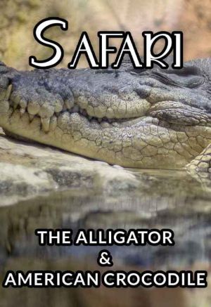 Safari The Alligator and American Crocodile