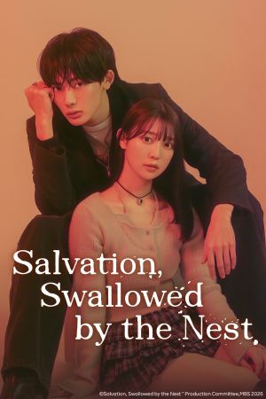 Salvation Swallowed by the Nest