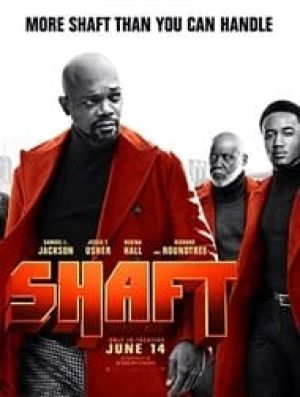 Shaft