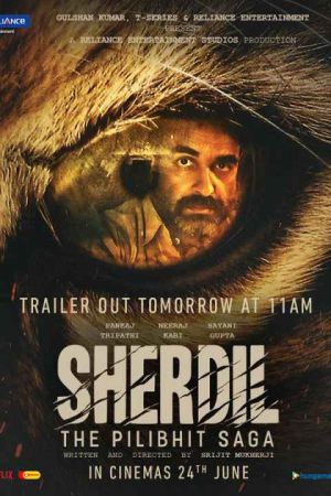 Sherdil