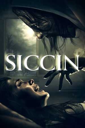 Siccin 1