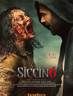Siccin 6