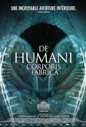 The Fabric of the Human Body