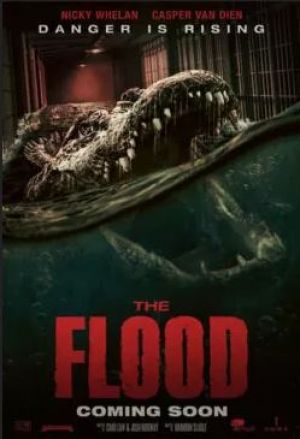 The Flood
