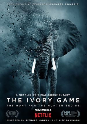 The Ivory Game