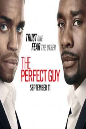 The Perfect Guy