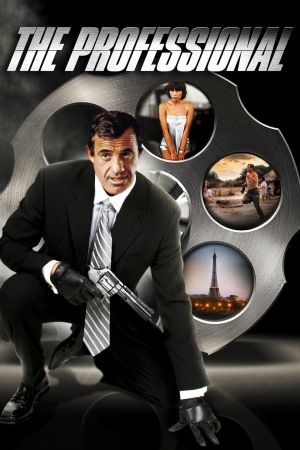 The Professional