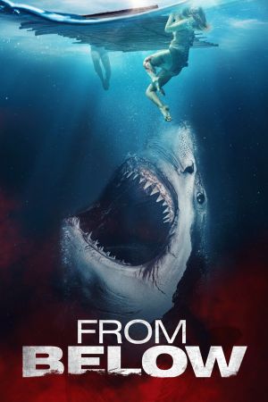 The Requin