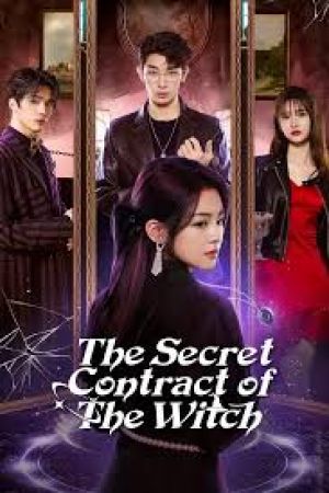 The Secret Contract of the Witch