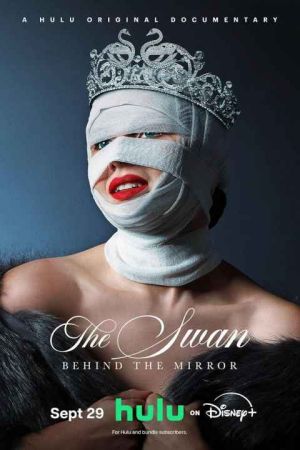 The Swan Behind the Mirror
