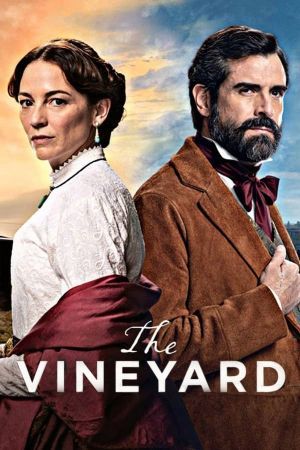 The Vineyard