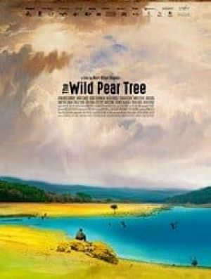 The Wild Pear Tree