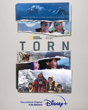 Torn