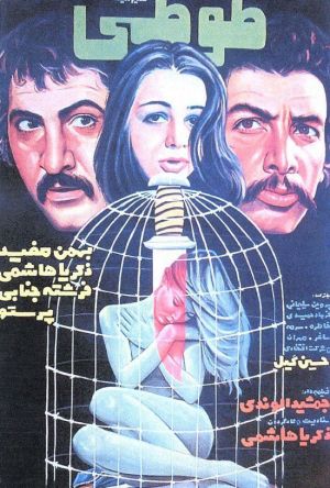 طوطی