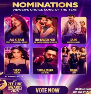 Zee Cine Awards